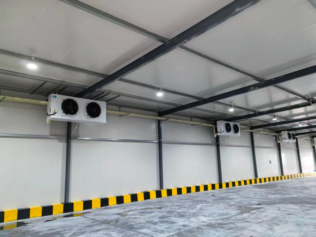 Cold Storage Warehouse Project