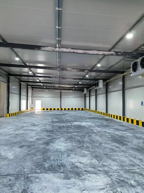 Cold Storage Warehouse Project