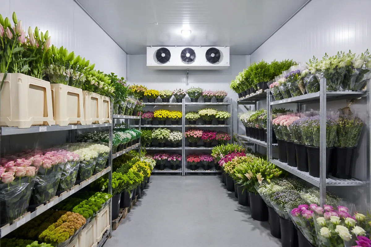 Flower Chiller Room
