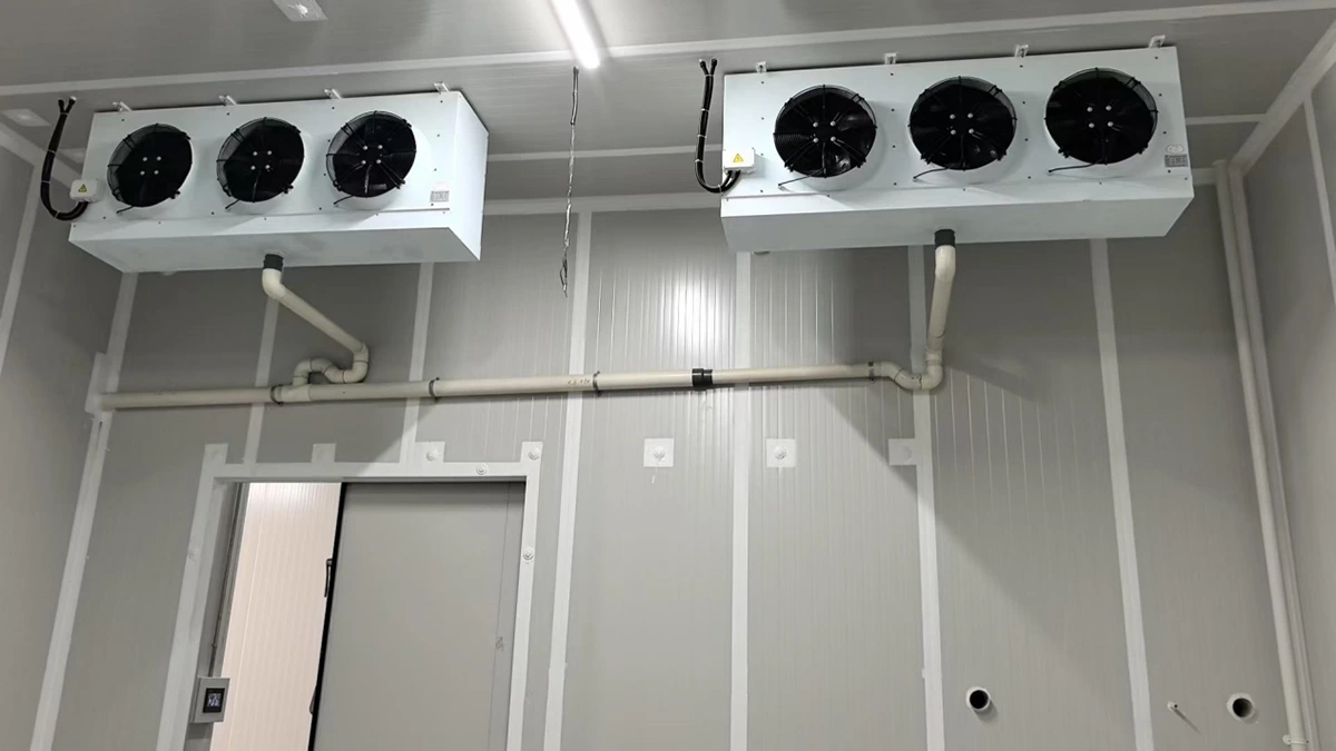Lemon Cold Room Project