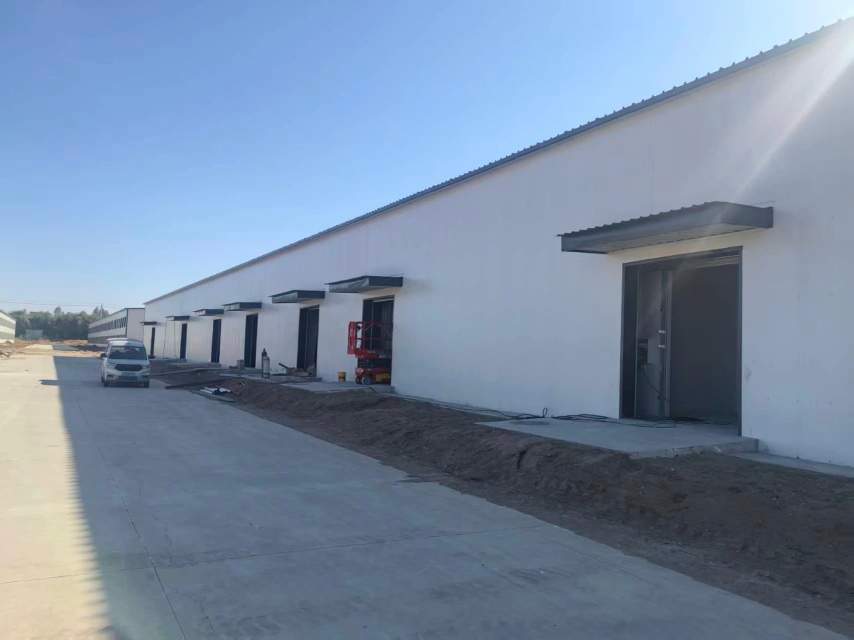 Pepper Processing & Cold Chain Project