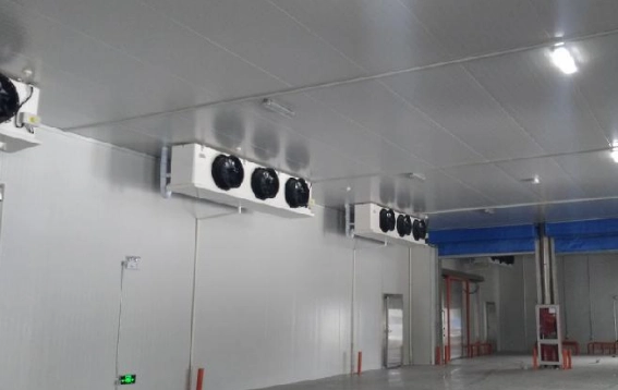 Refrigerated and Frozen Warehouse Project