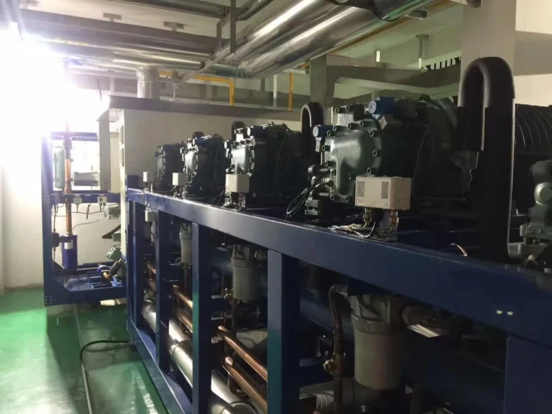 Refrigerated and Frozen Warehouse Project