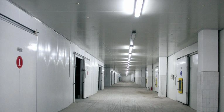 Refrigerated and Frozen Warehouse Project